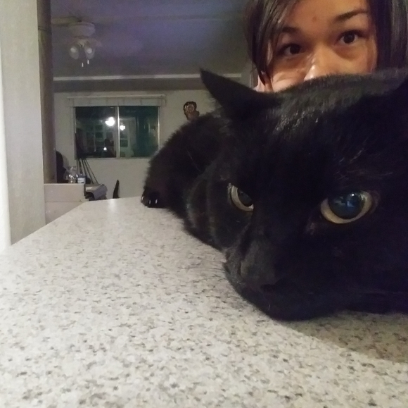 Meet your Posher, Rose - Picture 8 of 11